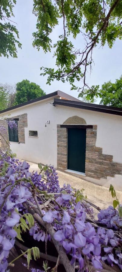 Agriturismo Terranova Пистичи Екстериор снимка
