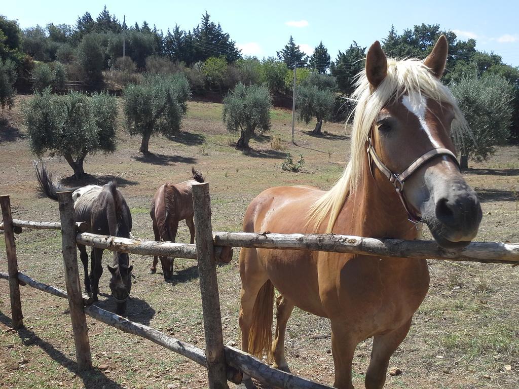 Agriturismo Terranova Пистичи Екстериор снимка